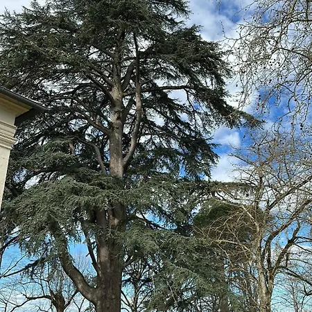 Domaine Du Cedre Eternel * Saint-Colomb-de-Lauzun