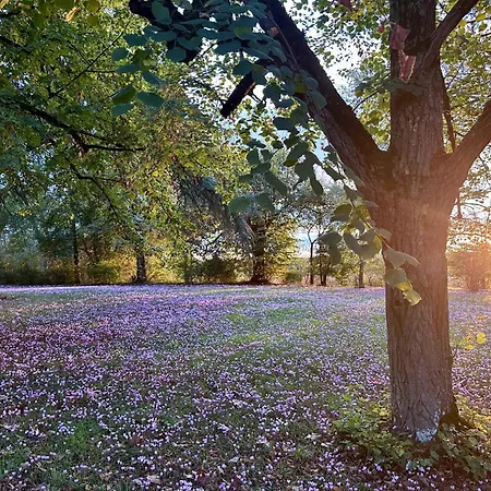 Semesterbostad Domaine Du Cedre Eternel
