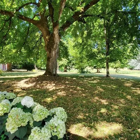 Domaine Du Cedre Eternel Semesterbostad
