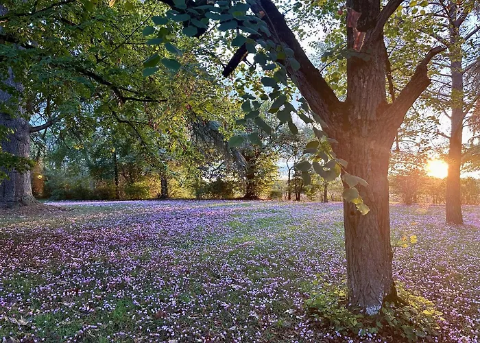 Prázdninový dům Domaine Du Cedre Eternel