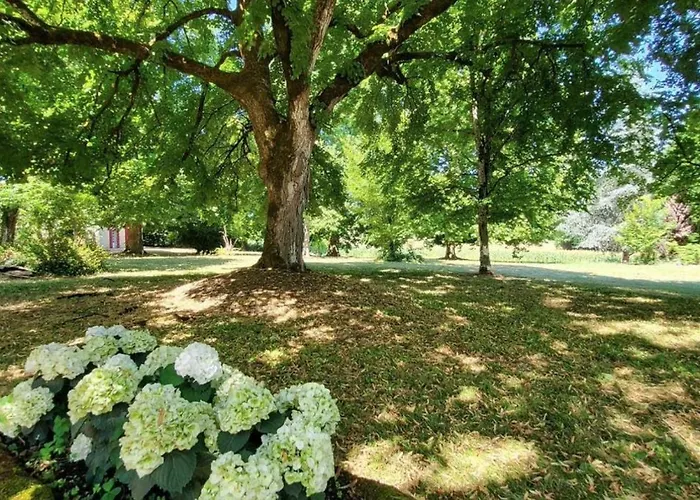 Domaine Du Cedre Eternel Prázdninový dům
