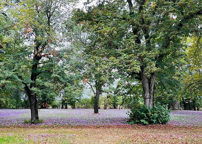 Domaine Du Cedre Eternel *